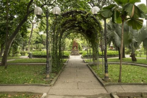 Stroll through Tao Dan Park